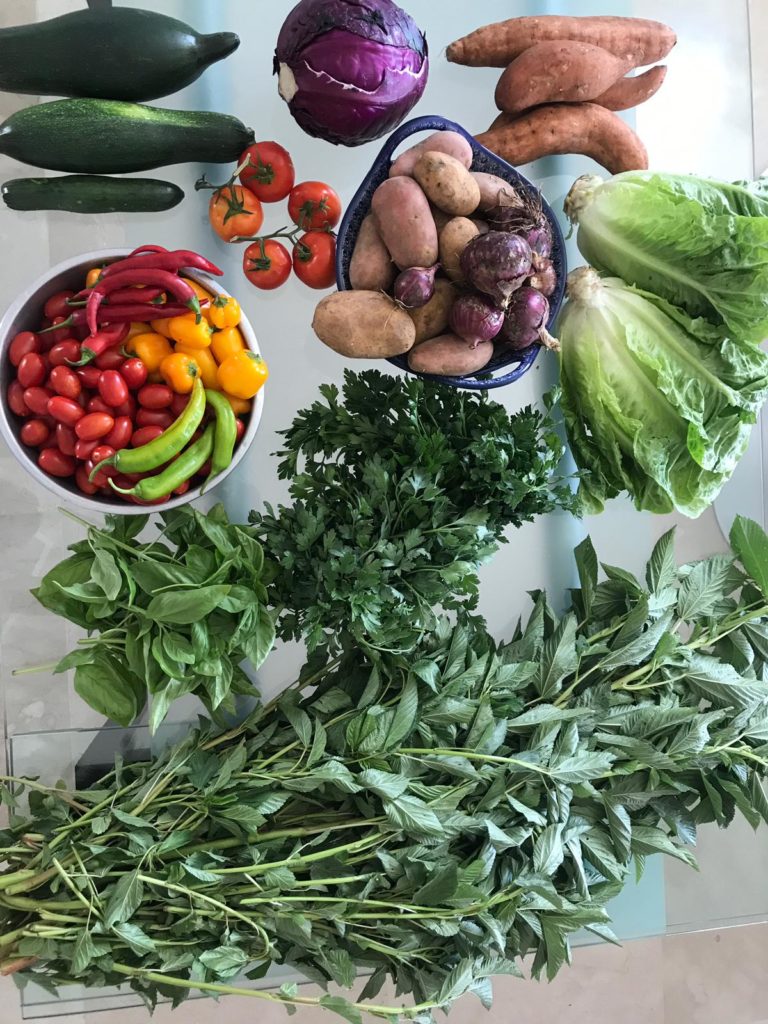 Organic Vegetables on table