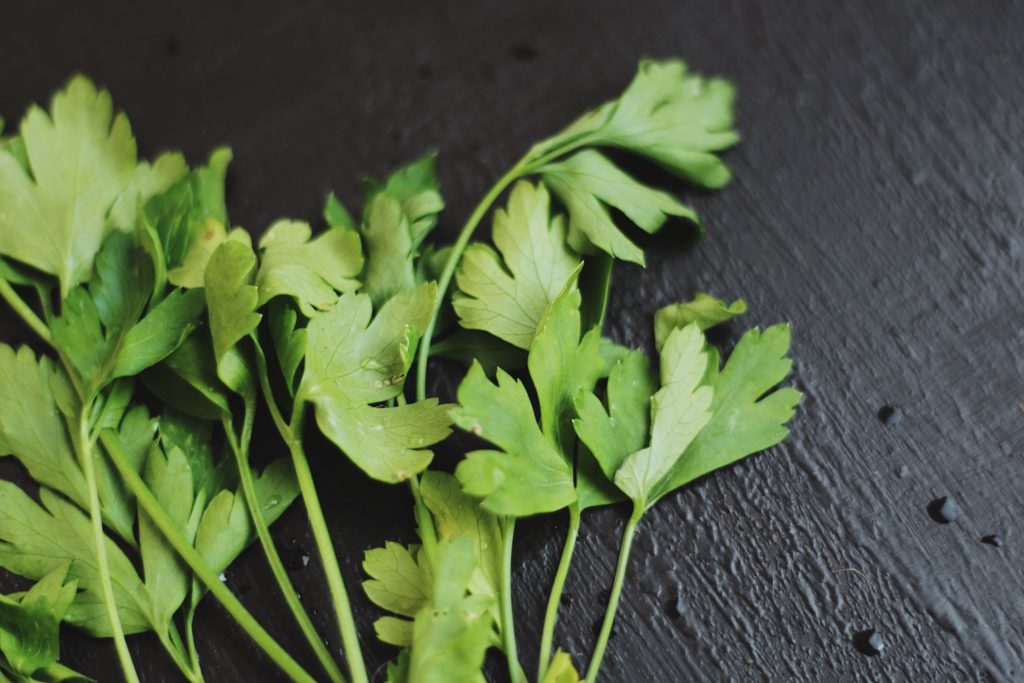 Sprigs of parsley on a textured black surface