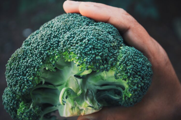 Broccoli in hand