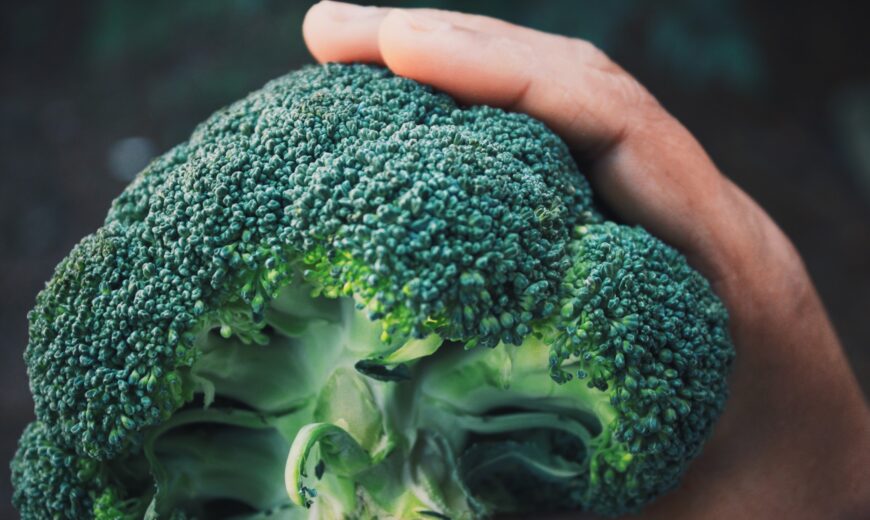 Broccoli in hand