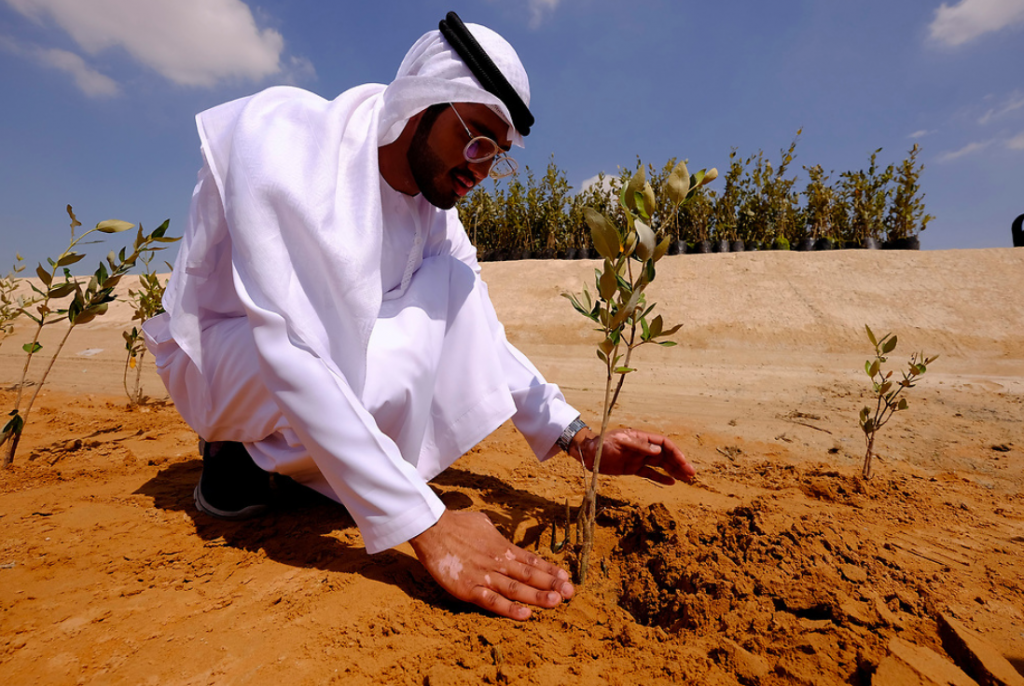Emirati man planting in desert
