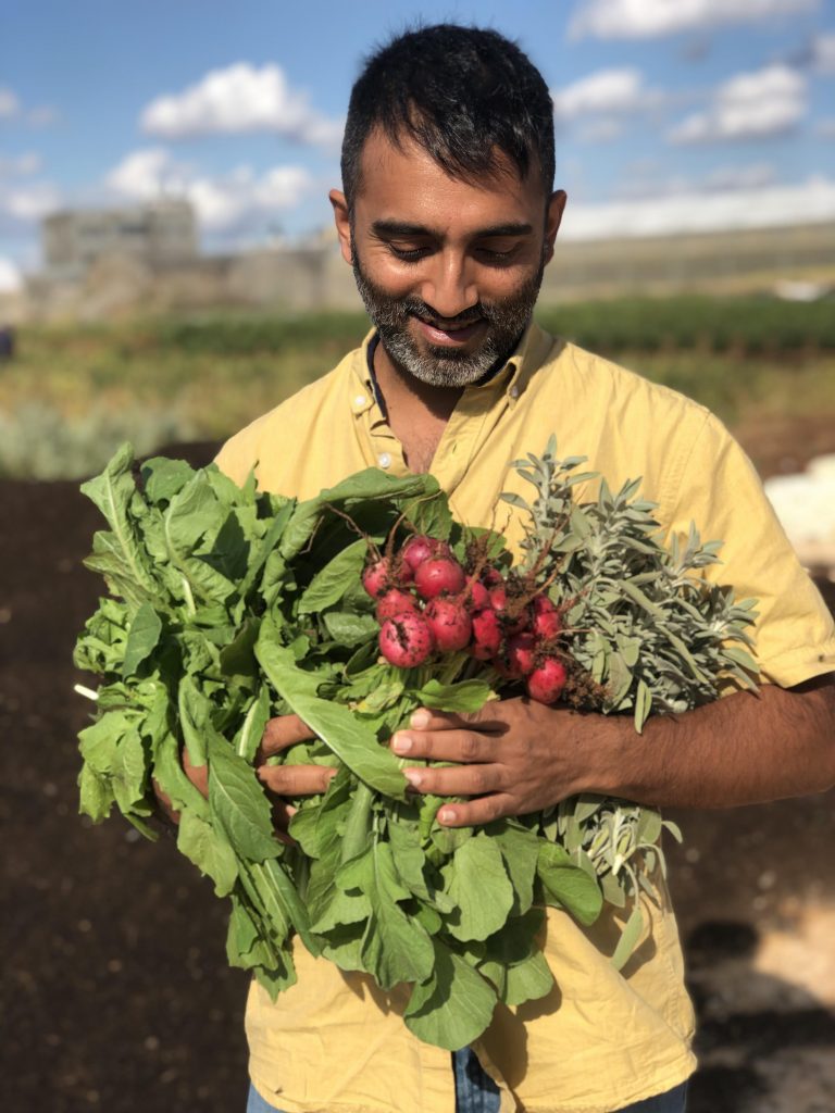 Man holding organic vegetables radish sage and elit in field in Jalameh in Palestine