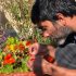 Home gardening in Palestine and UAE and Middle East - man with nasturtium, sage and basil in background