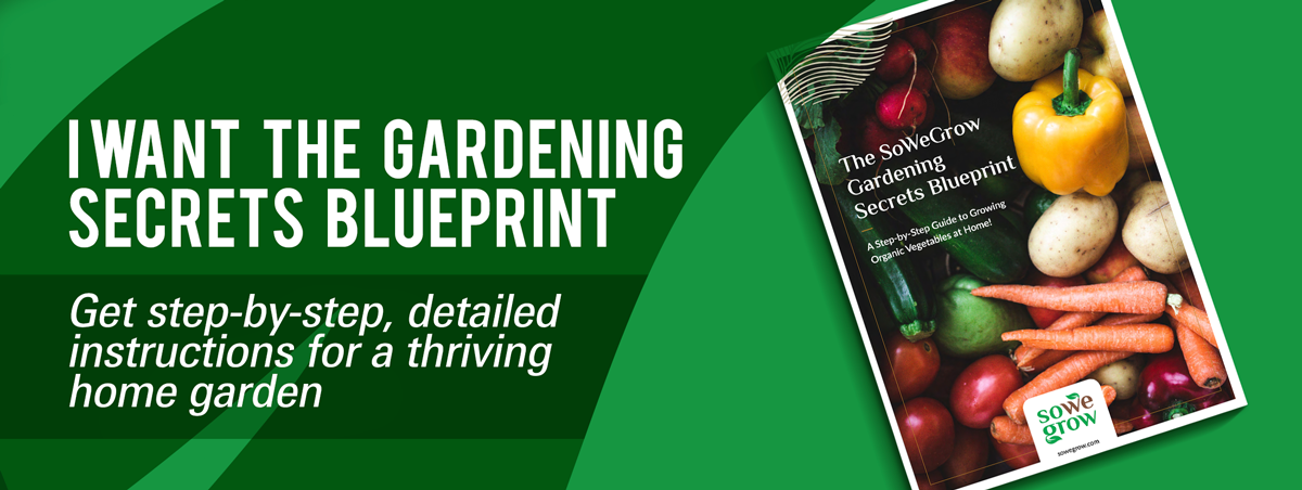 The Gardening Secrets Blueprint | Step-by-Step Instructions to Grow a Vegetable Garden | Link to Download Here | SoWeGrow