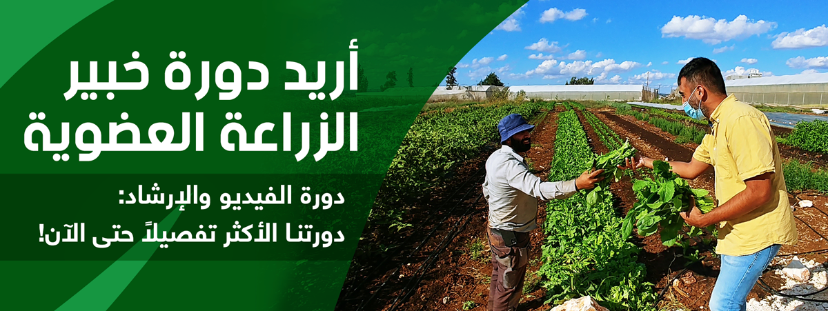 ناصر ريغو في المزرعة العضوية في فلسطين| SoWeGrow | خبير الزراعة العضوية - دورة فيديو وإرشاد
